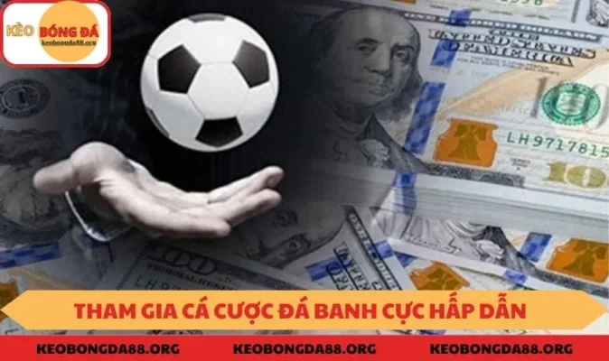 Cá cược đá banh