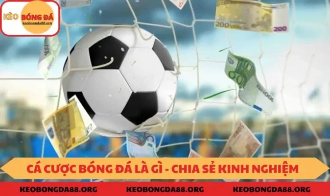 Cá độ bóng đá là gì