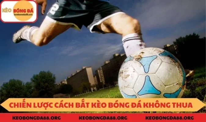 Cách bắt kèo bóng đá không thua