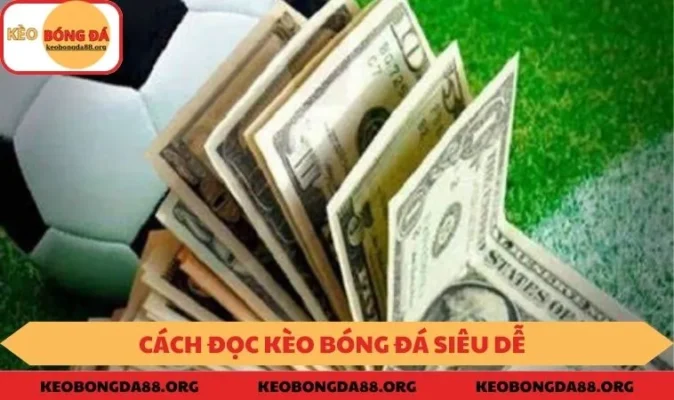 Cách đọc kèo bóng đá