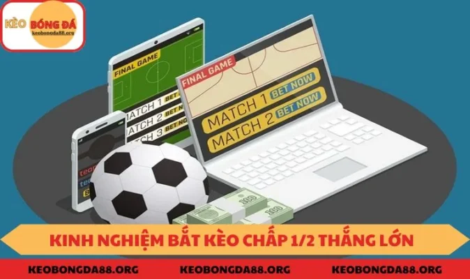 Kèo chấp ½