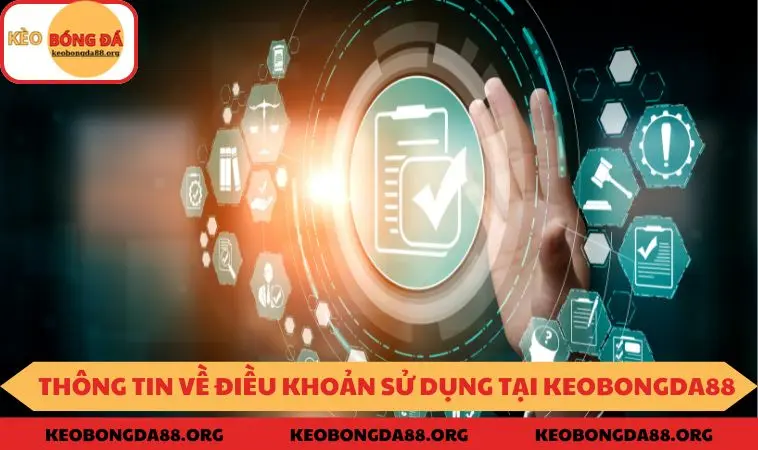 Thông tin chung về điều khoản sử dụng quy định tại KEOBONGDA88